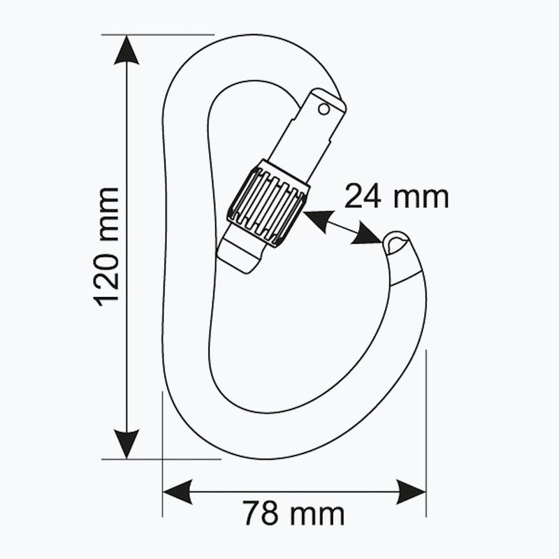 Lezecká karabina CAMP Atom Lock black 3