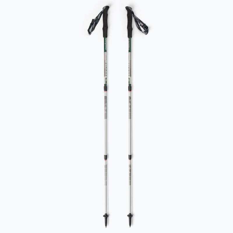 Trekové hole Masters Pole Summit Light zelené 01S4519