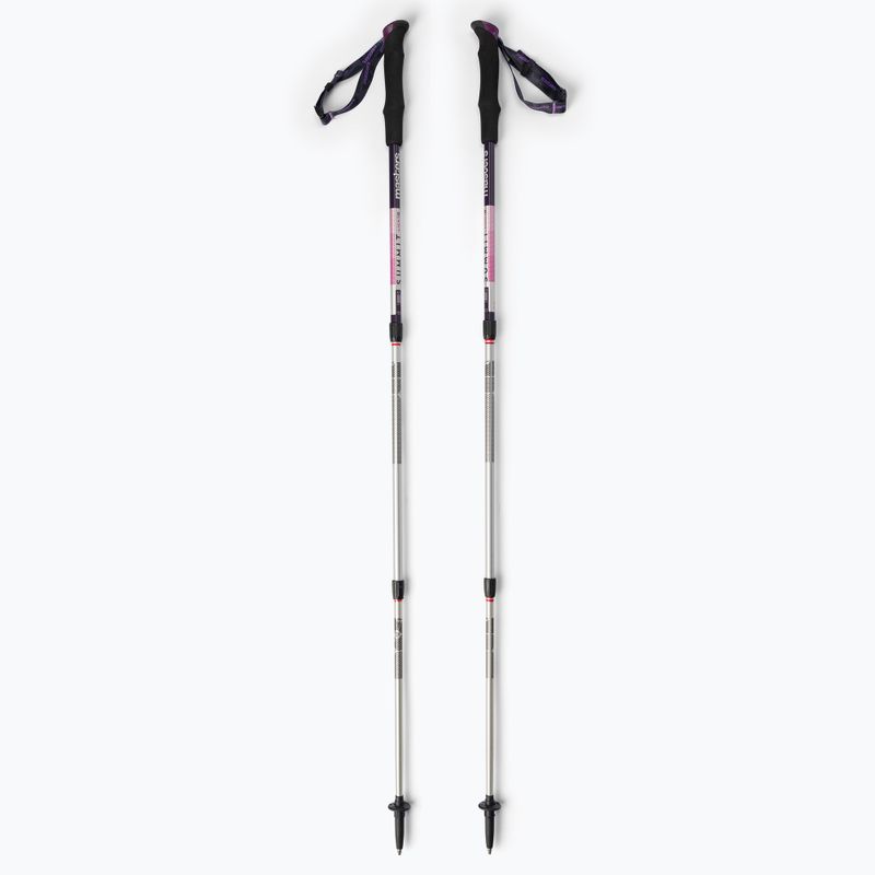 Dámské trekové hole Masters Trekking Pole Summit Light Woman stříbrné 01S4619