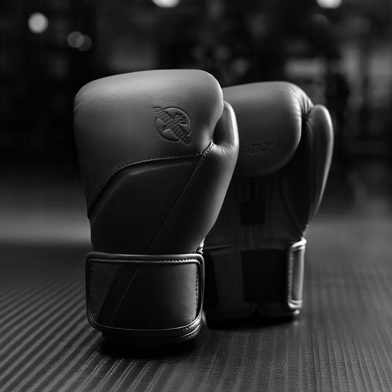 Boxerské rukavice Hayabusa E1 Leather black 2