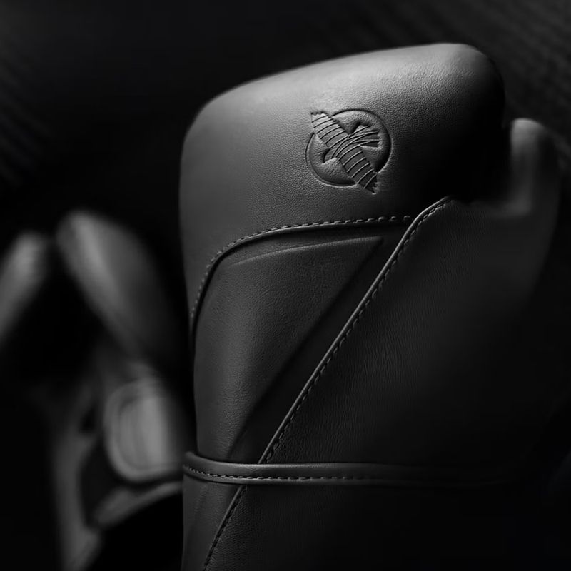 Boxerské rukavice Hayabusa E1 Leather black 3