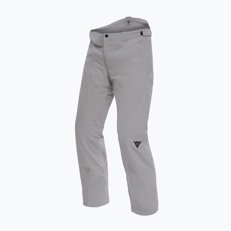 Pánské lyžařské kalhoty Dainese Dermizax Ev silver/filigree 6