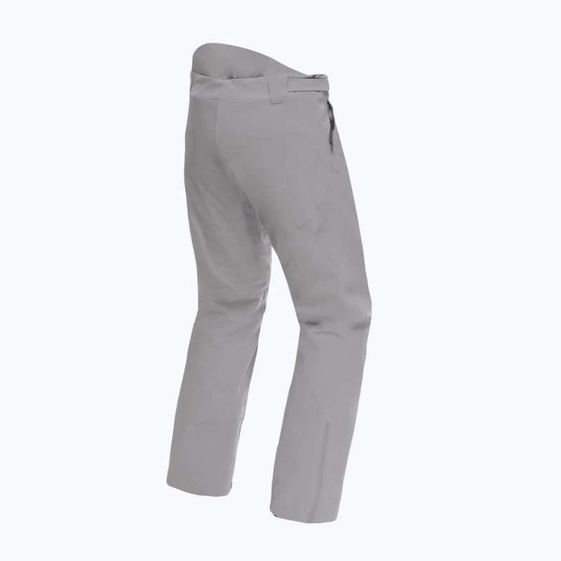 Pánské lyžařské kalhoty Dainese Dermizax Ev silver/filigree 7