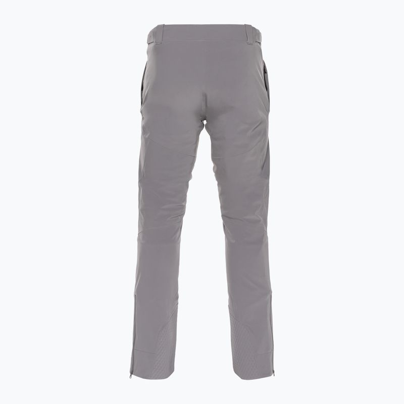 Pánské lyžařské kalhoty Dainese Dermizax Ev silver/filigree 2