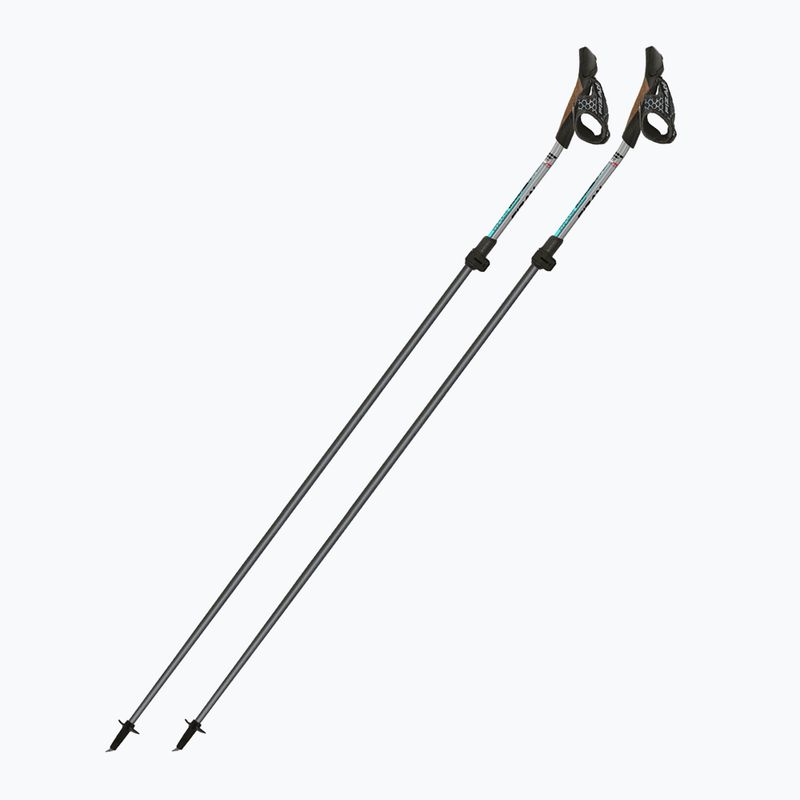 Hole na Nordic Walking Fizan Carbon Pro Impulse grey