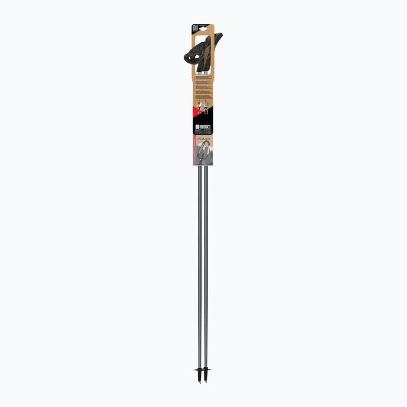 Hole na Nordic Walking Fizan Carbon Pro Impulse grey 4