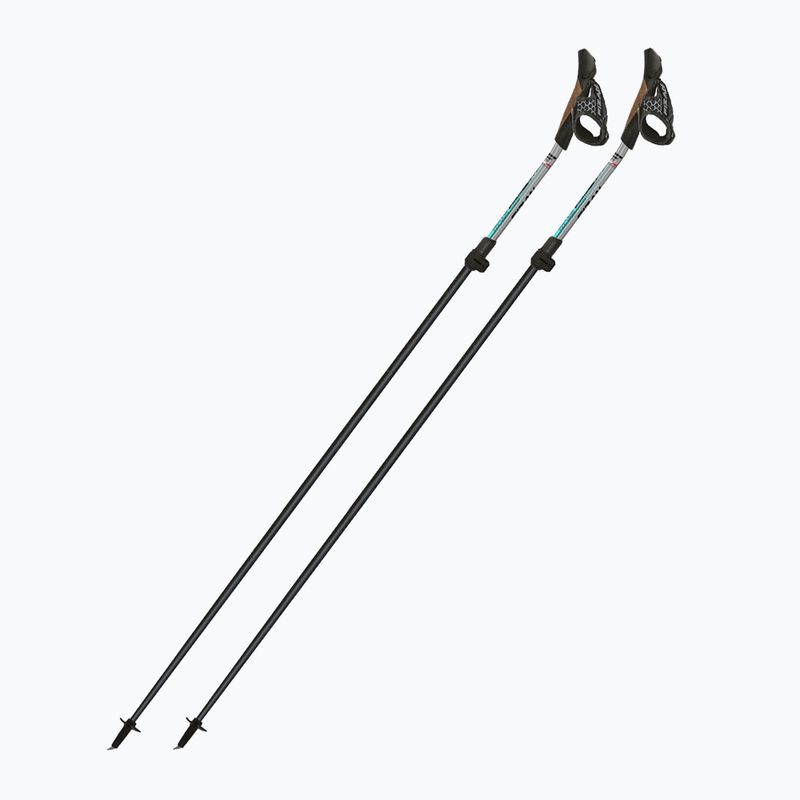 Hole na Nordic Walking Fizan Tekno Impulse grey