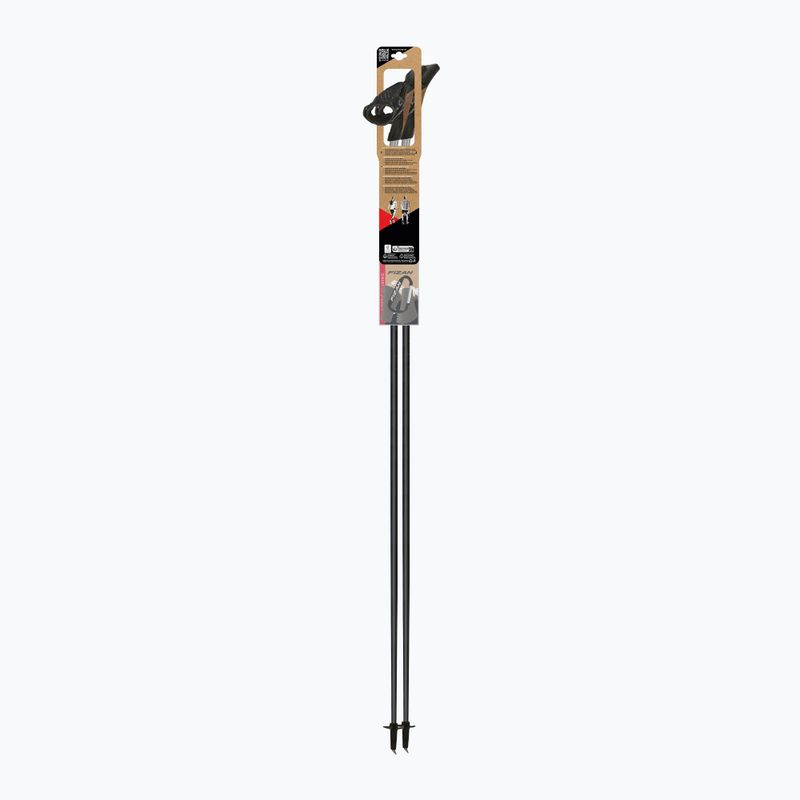 Hole na Nordic Walking Fizan Tekno Impulse grey 4