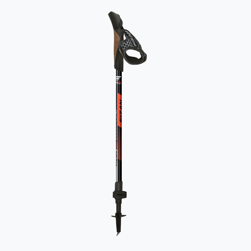 Hole na Nordic Walking Fizan R-Evolution Pro red 2