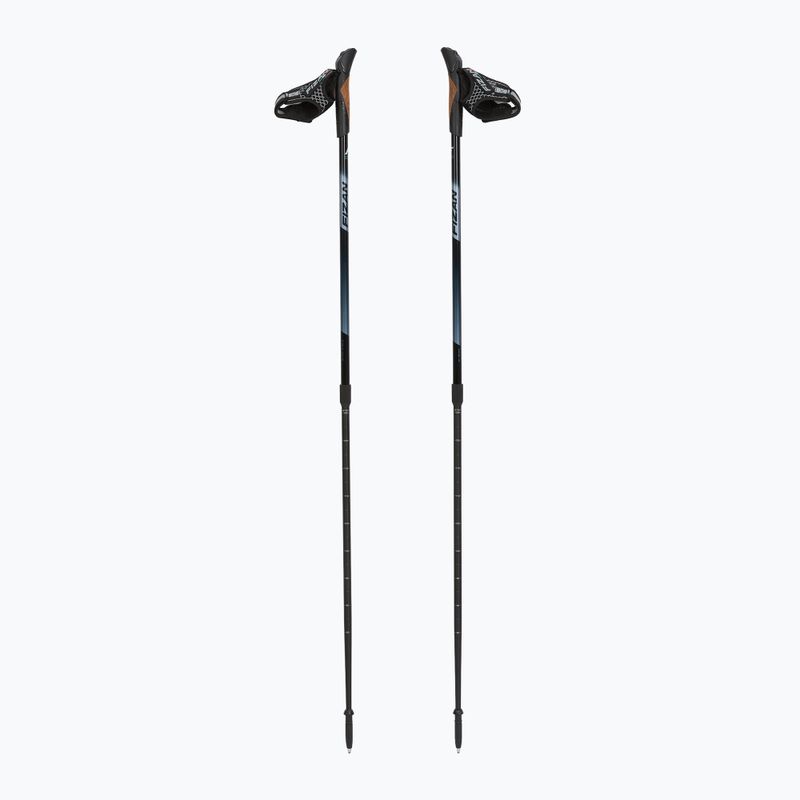 Hole na Nordic Walking Fizan Speed black