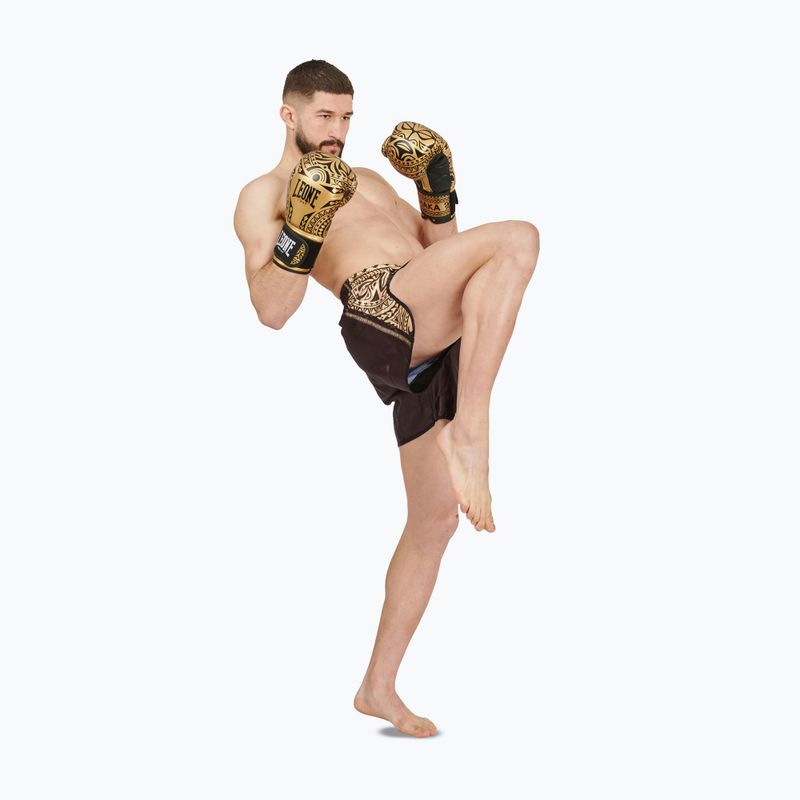 Boxerské rukavice LEONE 1947 Haka golden 10