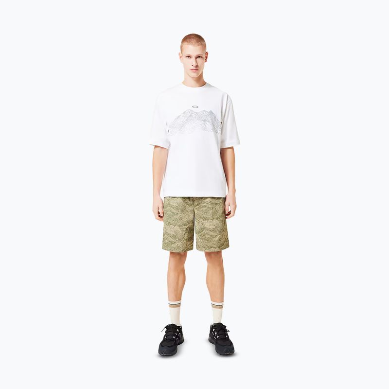 Pánské tričko Oakley Wired Mtn Scape Tee white