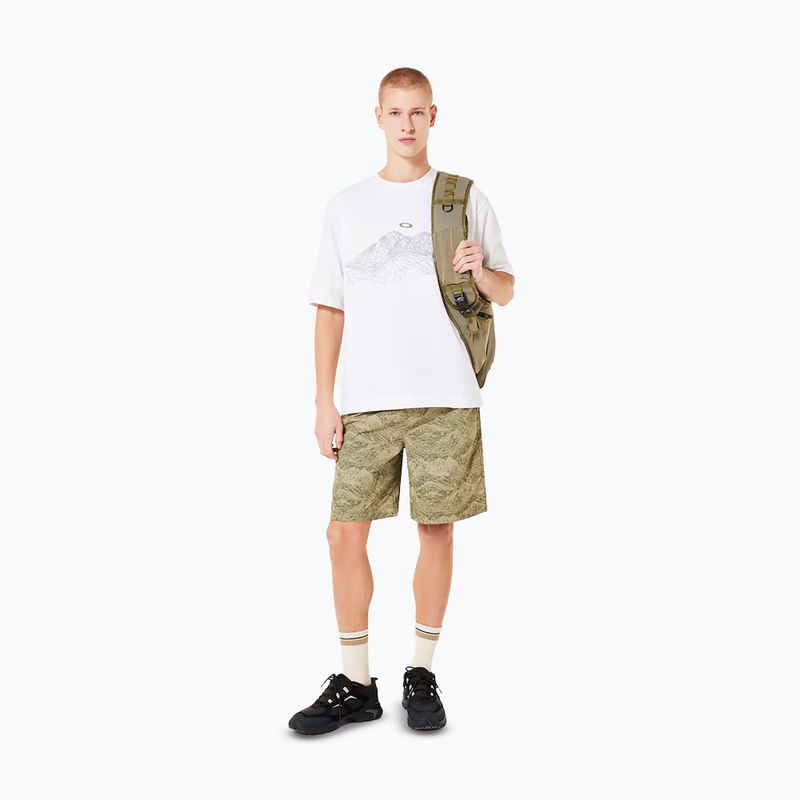 Pánské tričko Oakley Wired Mtn Scape Tee white 2