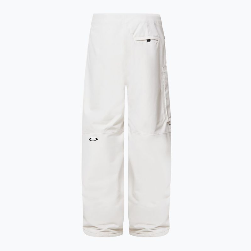 Pánské snowboardové kalhoty Oakley Channel Cargo mist 9