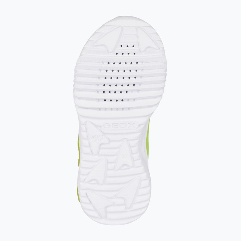 Boty junior Geox Assister junior lime/black 6
