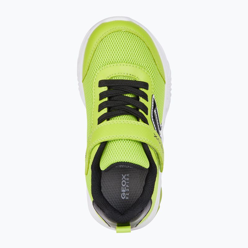 Boty junior Geox Assister junior lime/black 7