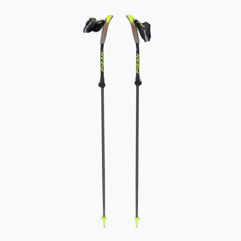 Hole Fizan Carbon Pro Impulse grey S23 CA10 pro nordic walking