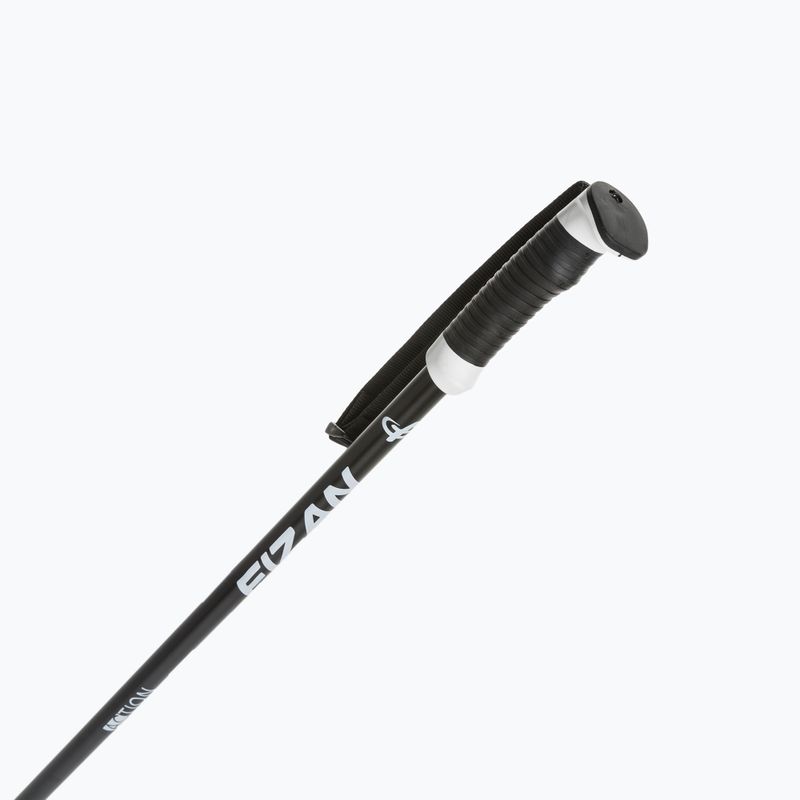 Lyžařské hole Fizan Action Pro black 2