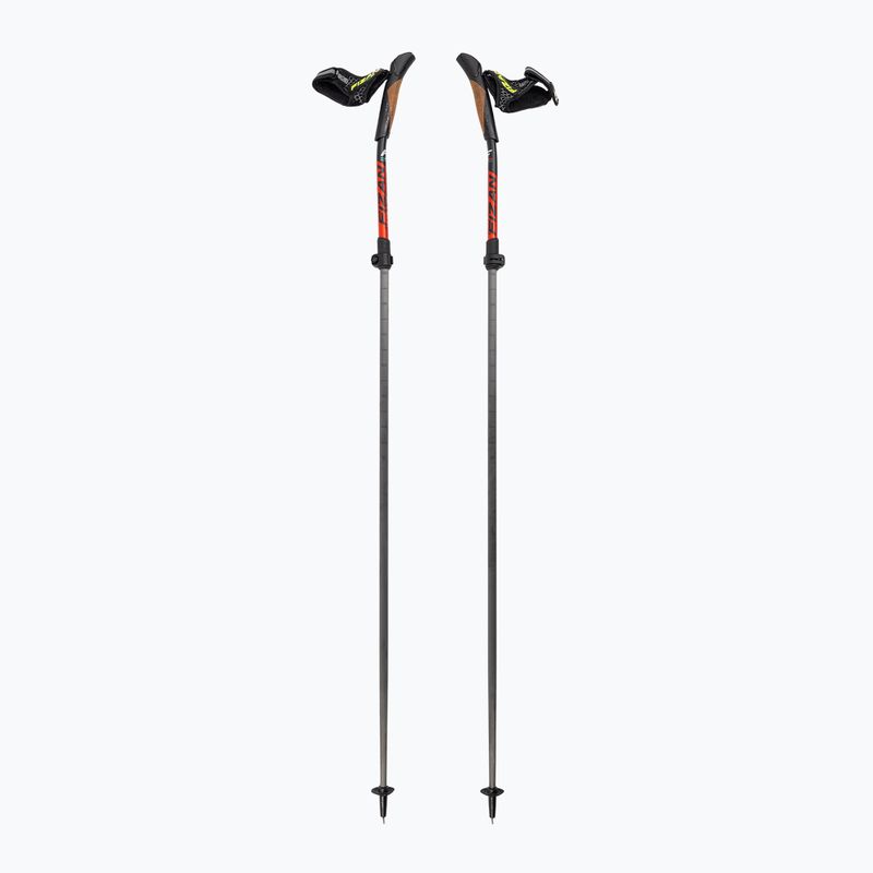 Hole na nordic walking Fizan Carbon Pro Impulse grey