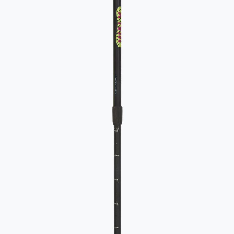 Nordic walking hole  Fizan Walx Velocity 4