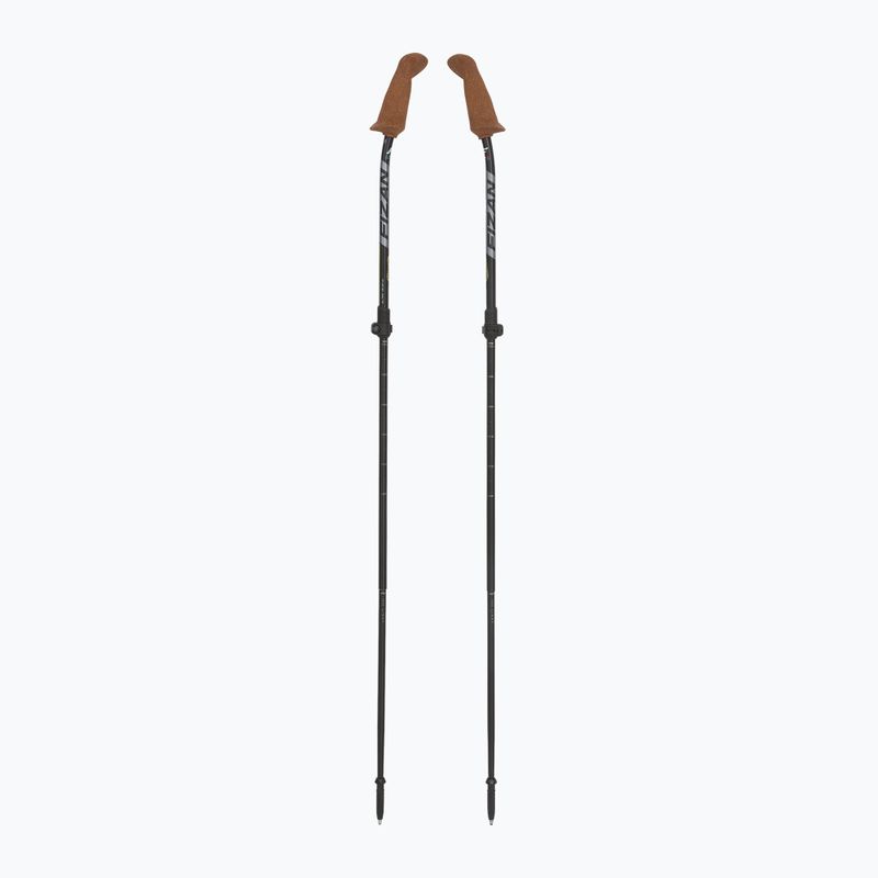 Nordic walking hole Fizan Walx Xplorer grey