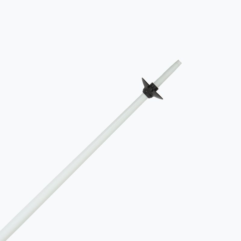 Lyžařské hole Fizan Action MS paisley magenta 5