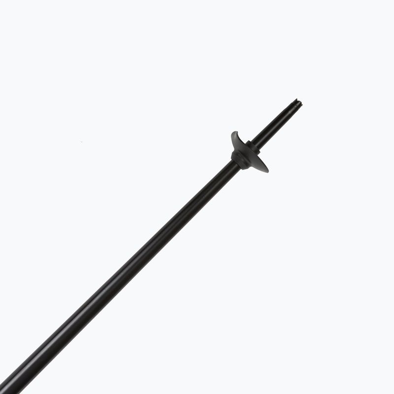 Lyžařské hole Fizan Action blue 5