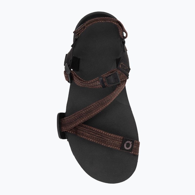 Pánské barefoot sandály Xero Shoes Z-Trail EV multi / brown 5