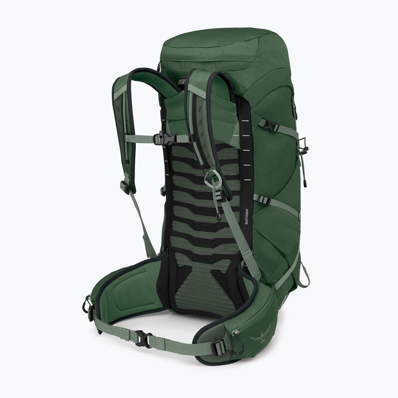 Turistický batoh Osprey Talon 33 l green canopy/ pine leaf 2