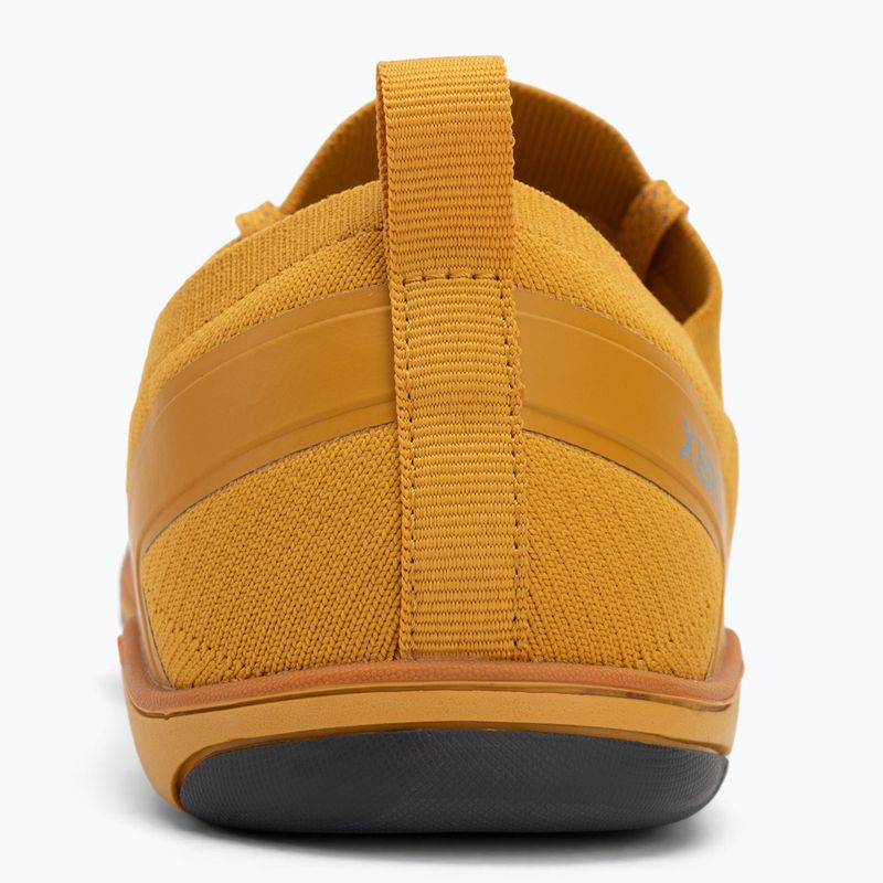 Pánské barefoot boty Xero Shoes Nexus Knit gold 6