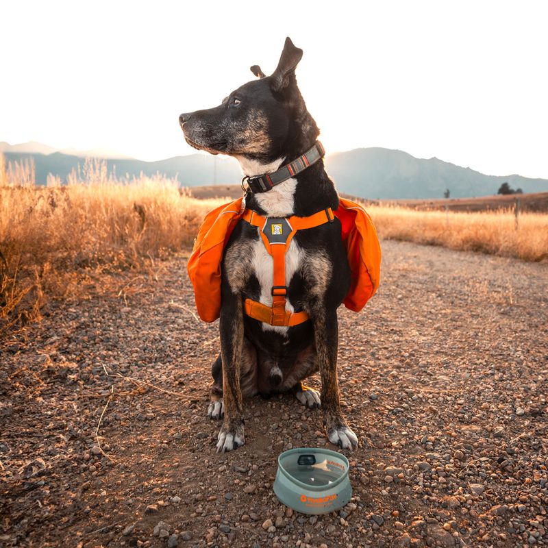 Miska pro psa HydraPak Rover sutro green 4