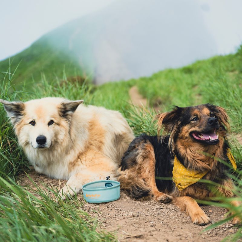 Miska pro psa HydraPak Rover sutro green 7