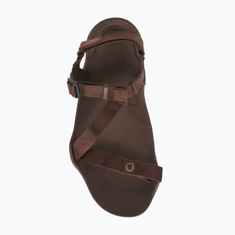 Pánské barefoot sandály Xero Shoes Z-Trek brown 7