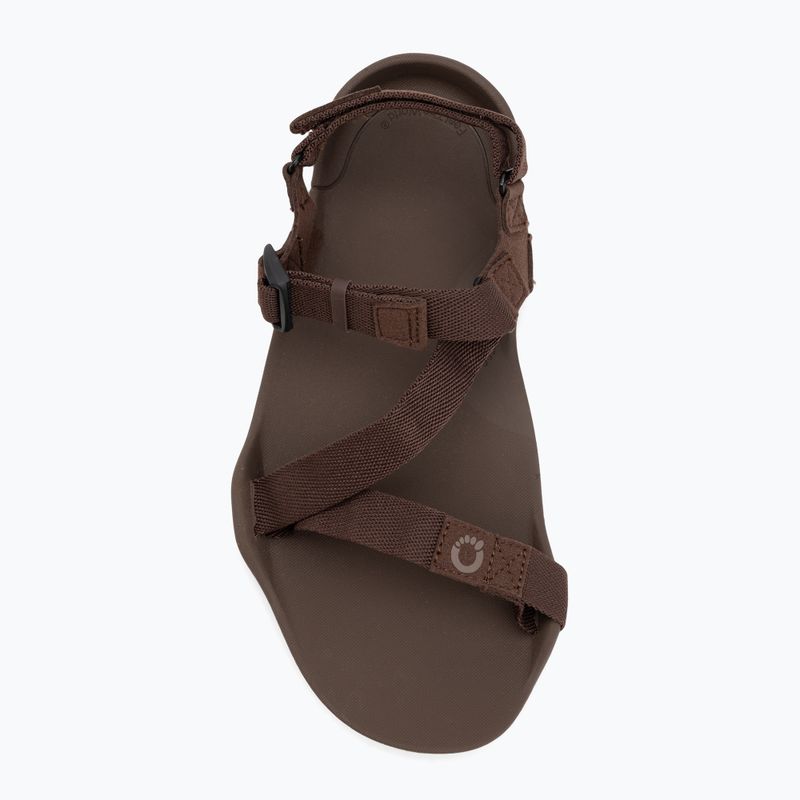 Pánské barefoot sandály Xero Shoes Z-Trek brown 5
