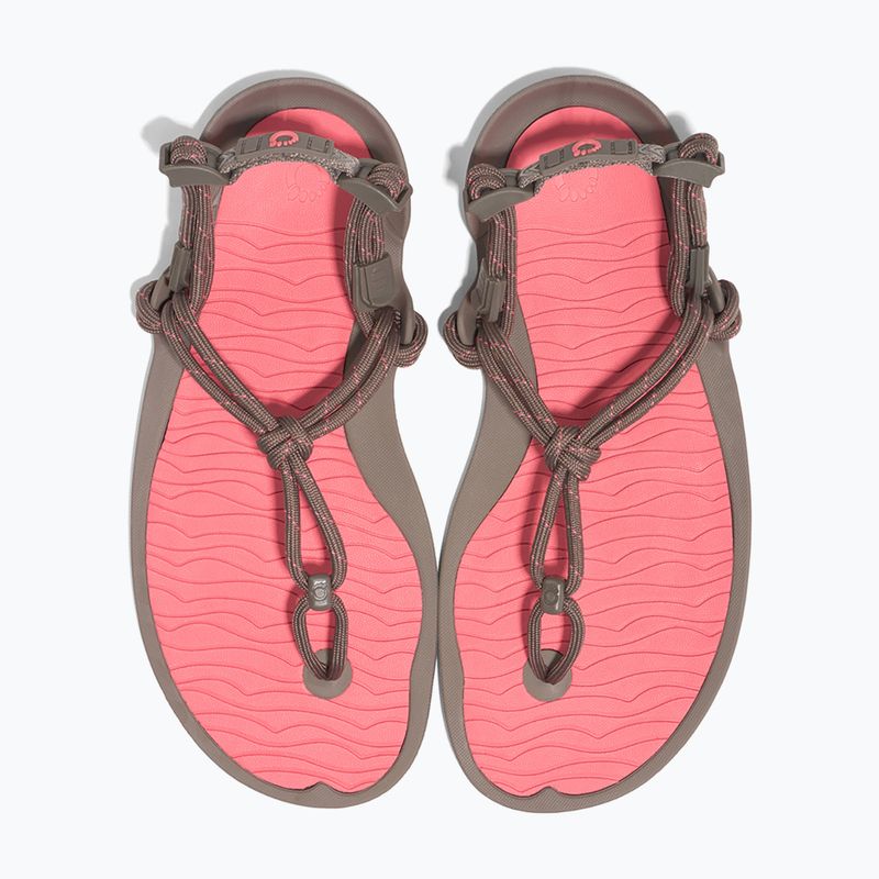 Dámské barefoot sandály Xero Shoes Aqua Cloud moel/sunset coral morel/sunset coral 8