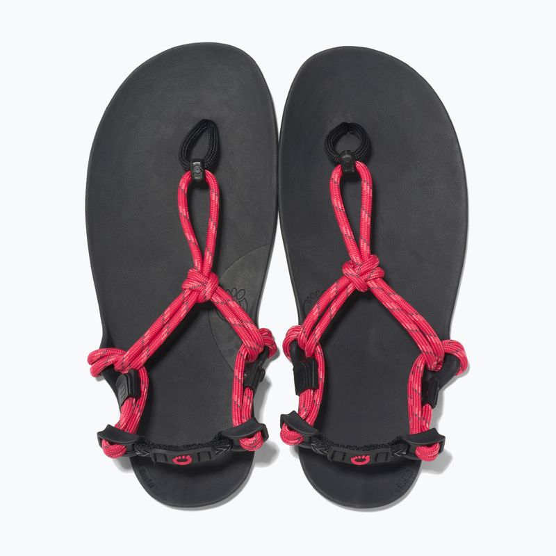 Dámské barefoot sandály Xero Shoes Genesis raspberry 5
