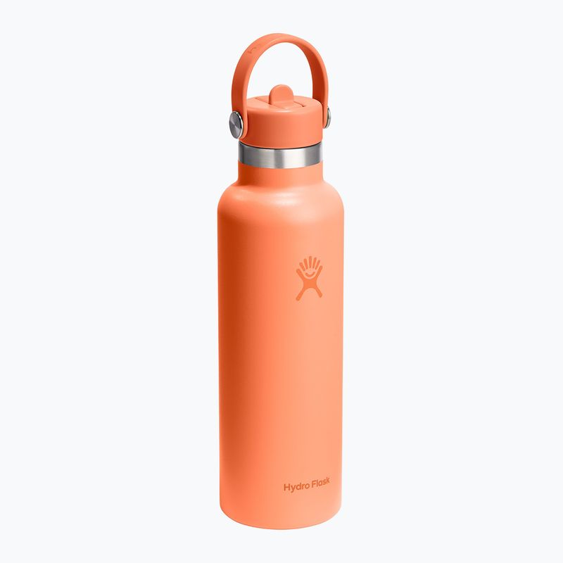 Termo láhev Hydro Flask Standard Flex Straw 620 ml nektar 2