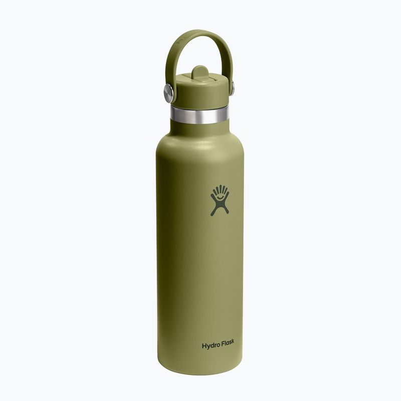 Termo láhev Hydro Flask Standard Flex 621 ml palmer green 2