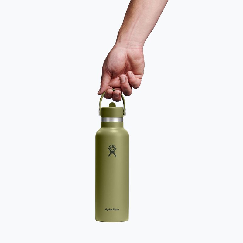 Termo láhev Hydro Flask Standard Flex 621 ml palmer green 3