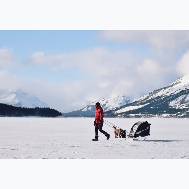 Lyžařská sada pro vozík Burley Ski Kit 3
