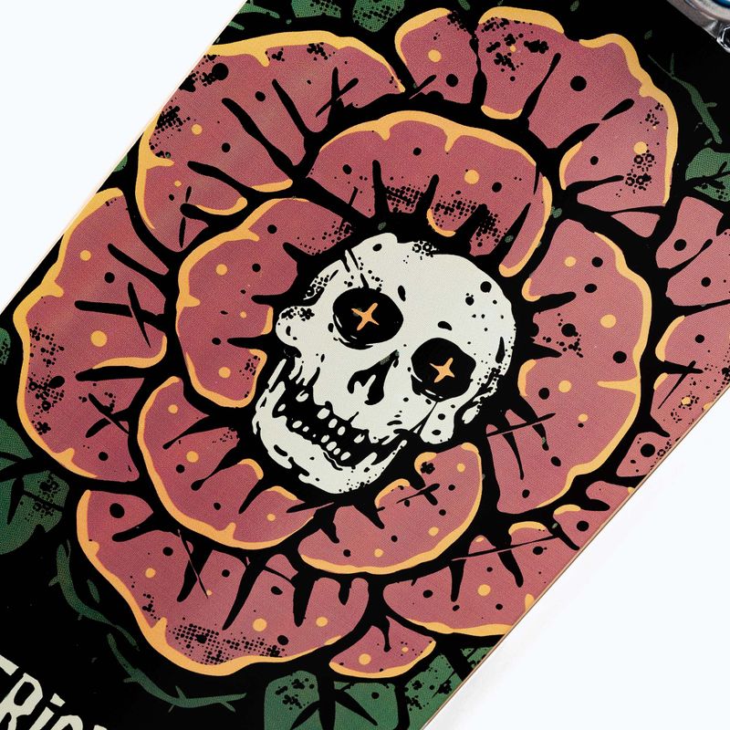 Klasické skateboardové Tricks Rose Complete TRCO0022A004 8