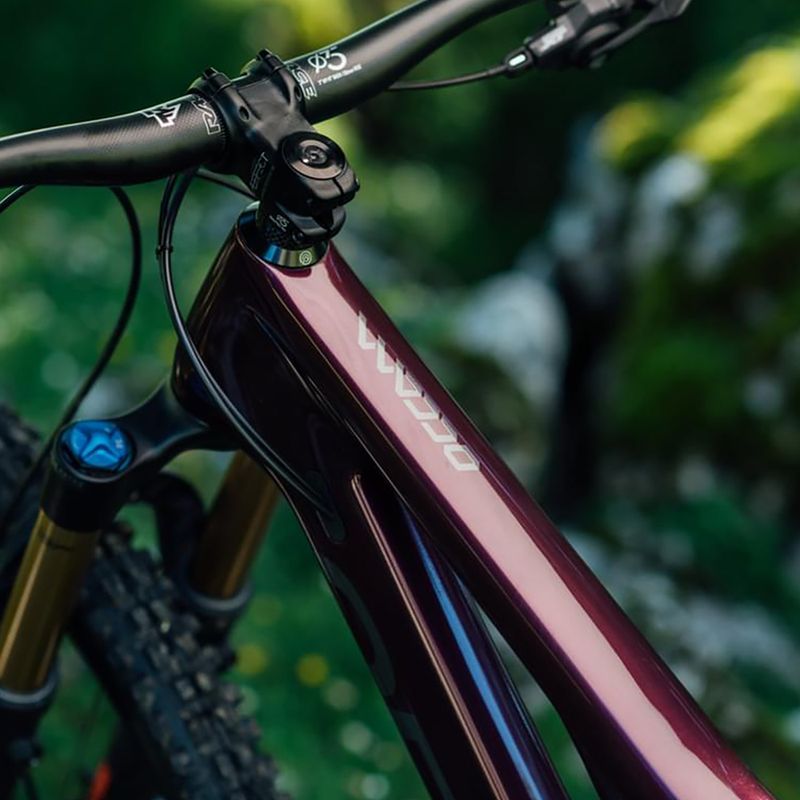 Horské kolo Orbea Occam M10 LT fialové M25915LU 3