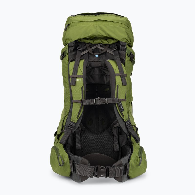 Pánský trekingový batoh Osprey Aether 65 l garlic mustard green 3