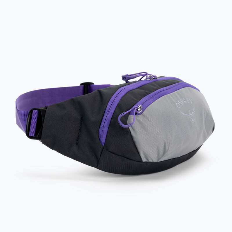 Ledvinka Osprey Daylite Waist 2L šedo-fialová 10004202