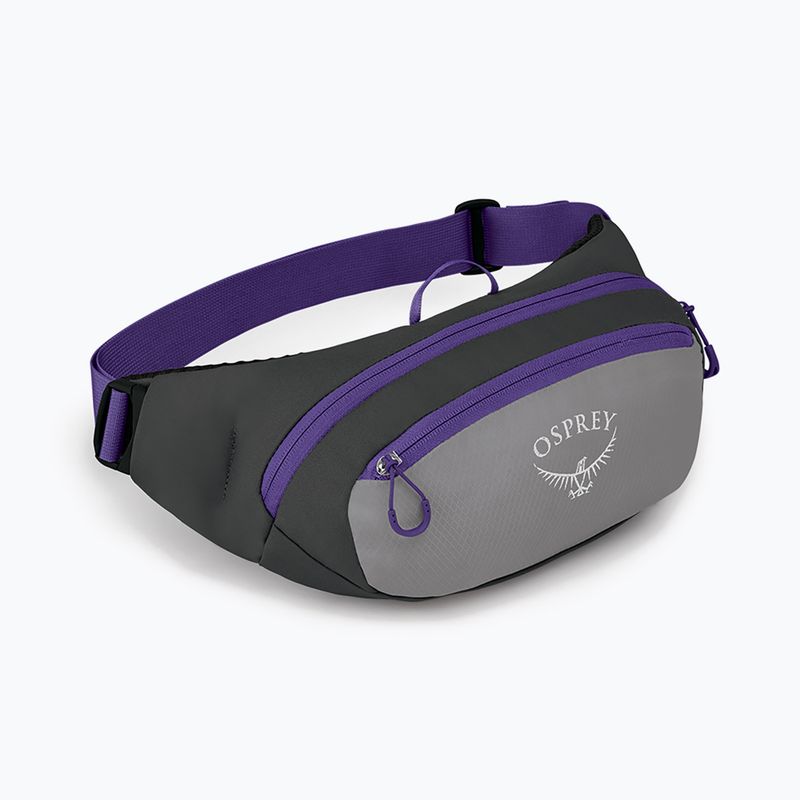 Ledvinka Osprey Daylite Waist 2L šedo-fialová 10004202 8