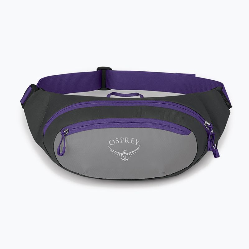 Ledvinka Osprey Daylite Waist 2L šedo-fialová 10004202 9