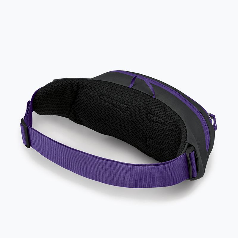 Ledvinka Osprey Daylite Waist 2L šedo-fialová 10004202 10