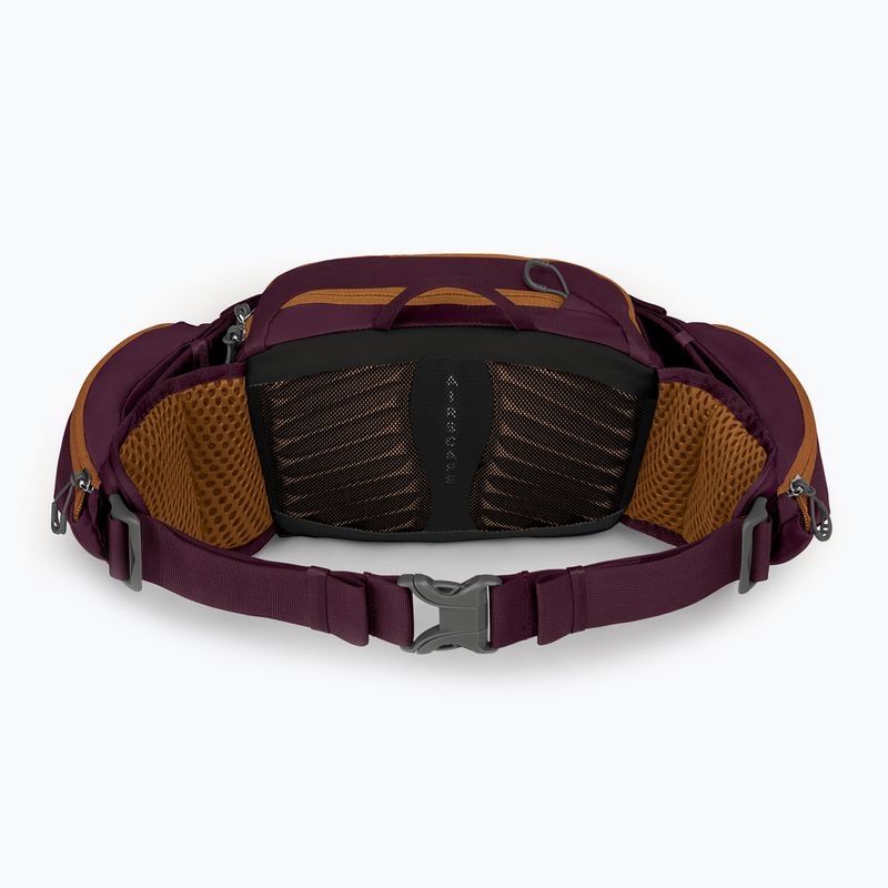 Ledvinka na kolo Osprey Savu 5 aprium purple 3