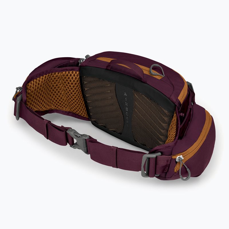 Ledvinka na kolo Osprey Savu 5 aprium purple 4