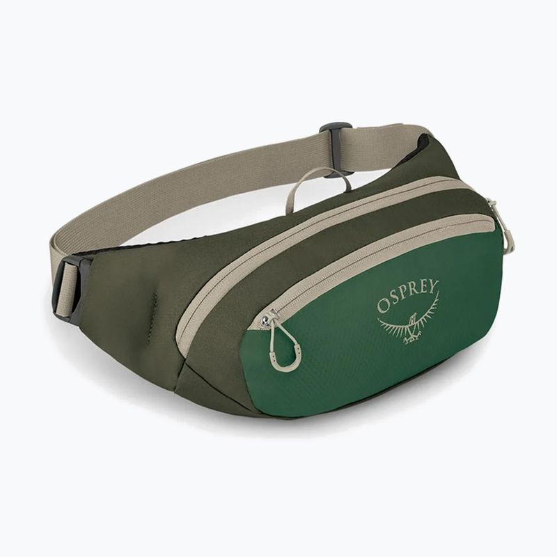 Ledvinka Osprey Daylite Waist green canopy/green creek 2